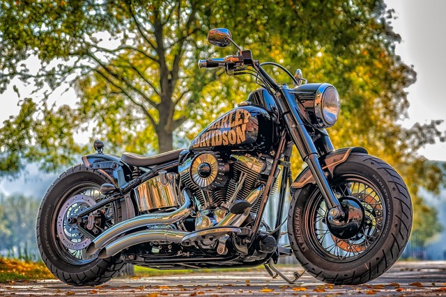 Harley Davidson